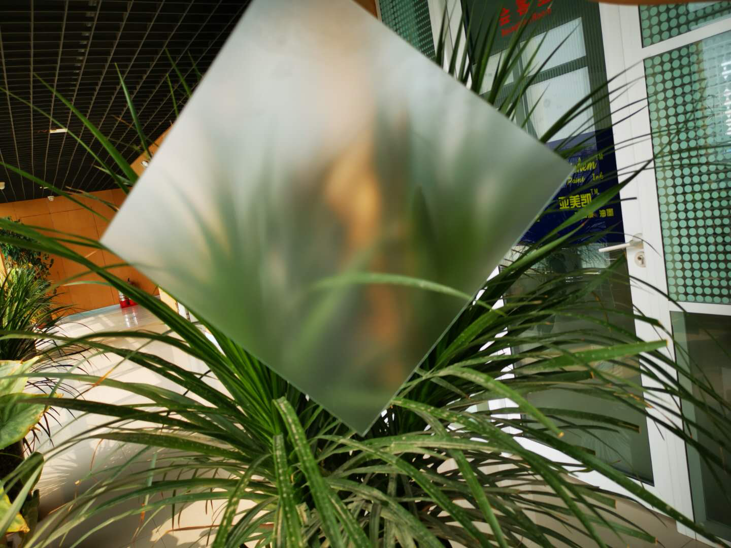 肌肤砂拼搏手机平台